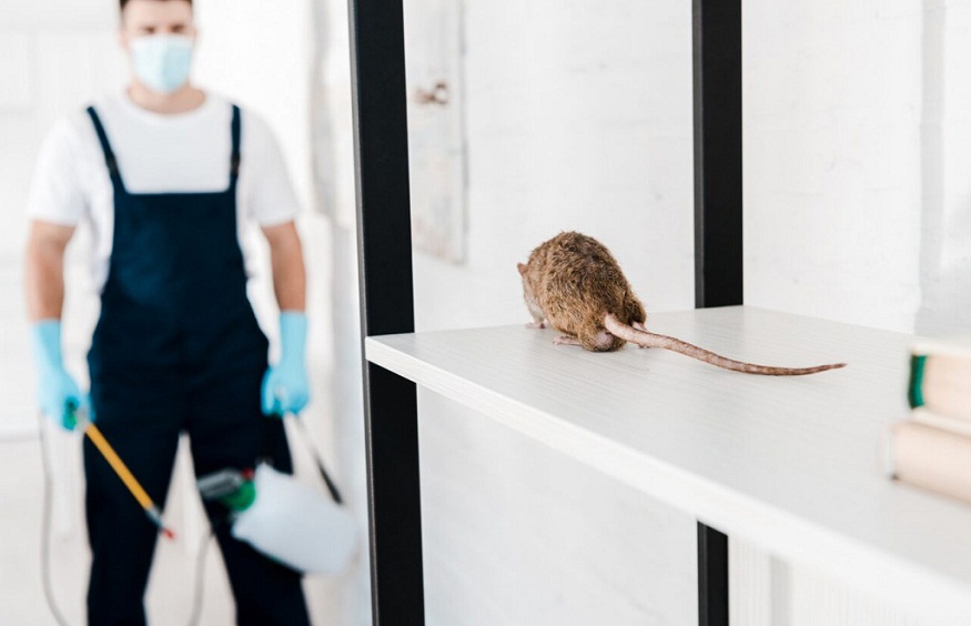 Preventative Pest Control