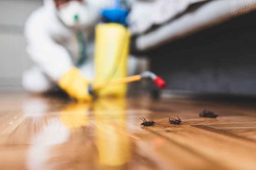 Professional Pest Control