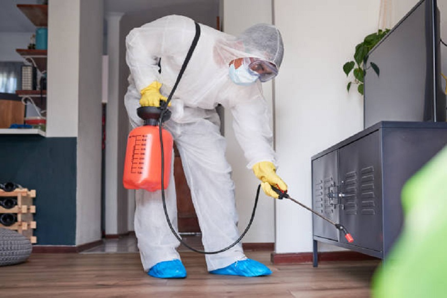 Comprehensive Pest Control Solutions for Homes in Damascus!
